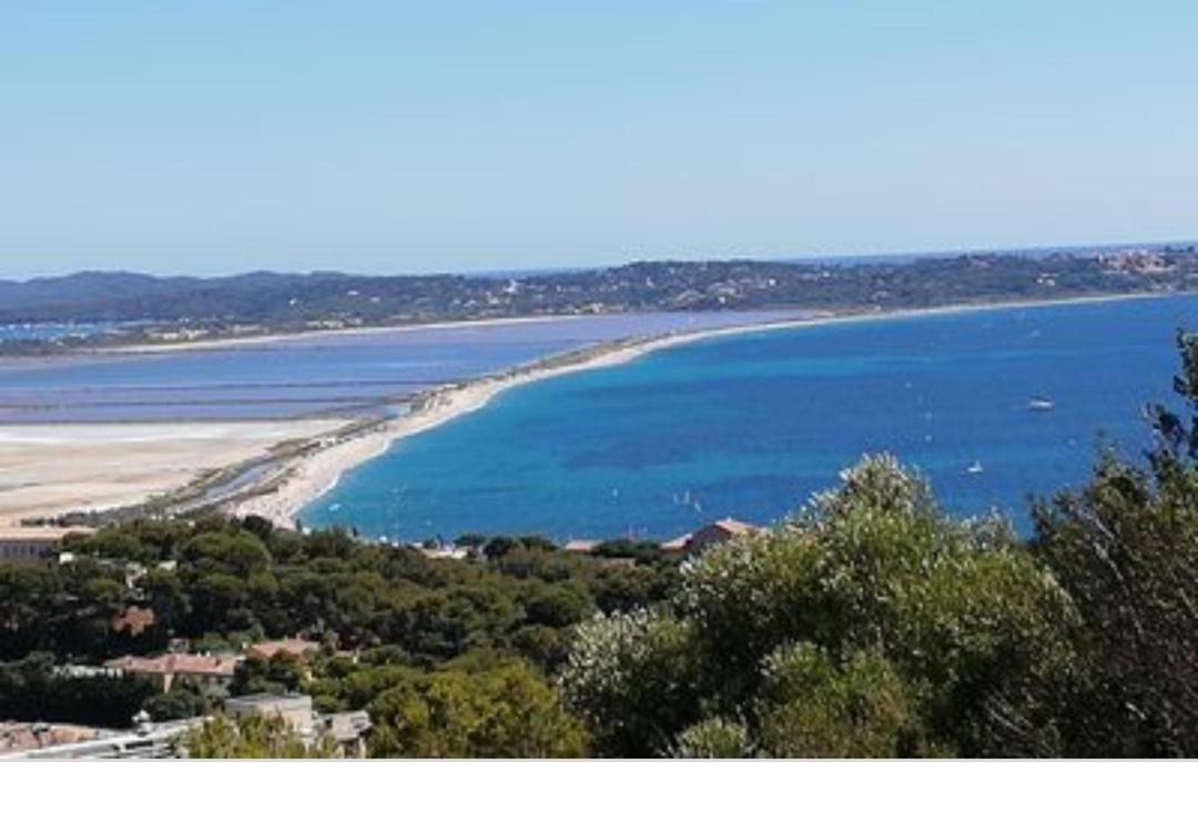 Villa Hyeres Mont Des Oiseaux Vue Mer Villa 180 M2 Piscine Spa